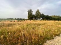 Działka budowlana Stobierna. Zdjęcie 3