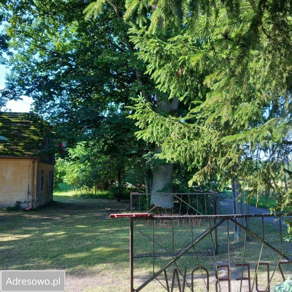 dom wolnostojący, 4 pokoje Przesieki. Zdjęcie 7