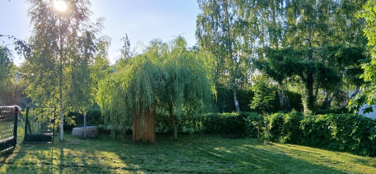 Działka rolna Brzezie. Zdjęcie 11