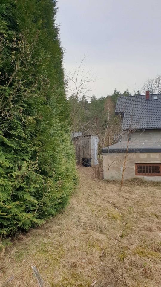 Działka Zofiówka. Zdjęcie 4