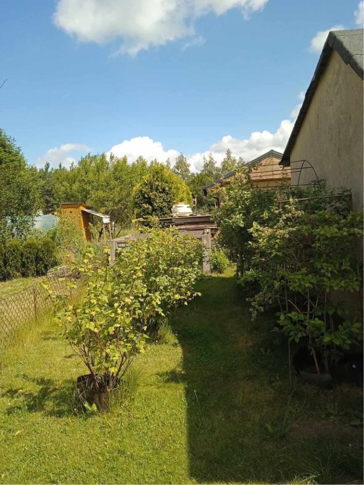 Działka rod Zelów. Zdjęcie 3