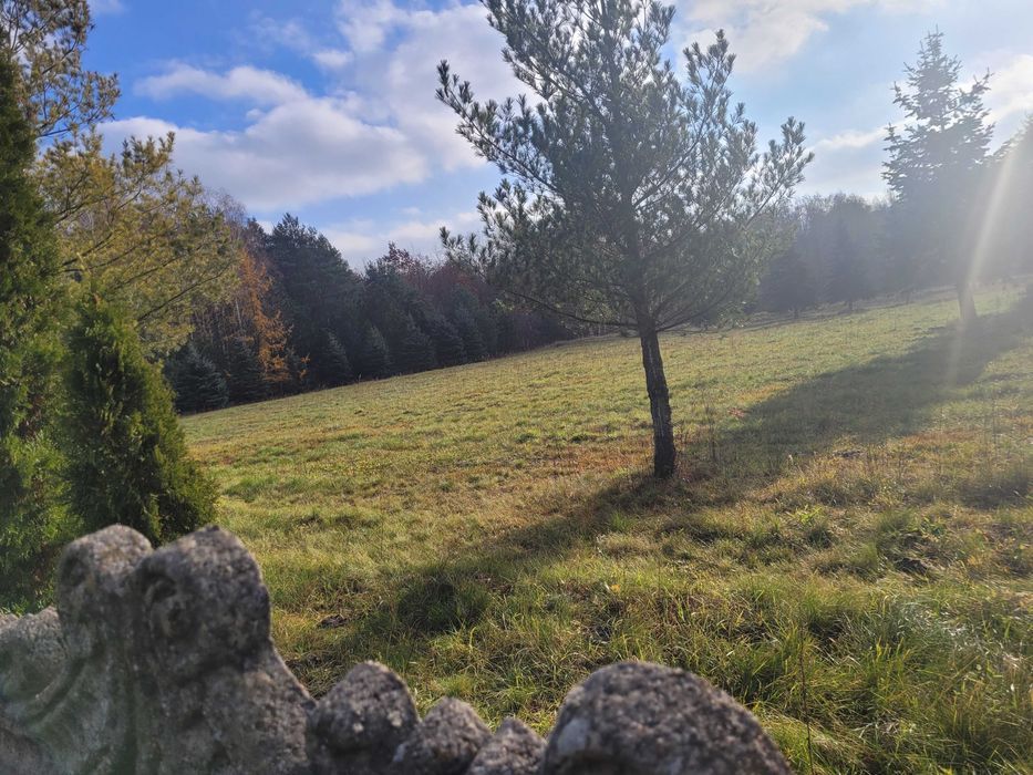 Działka budowlana Zdziechów Nowy. Zdjęcie 3