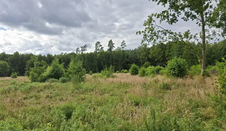 Działka rolno-budowlana Karolewo