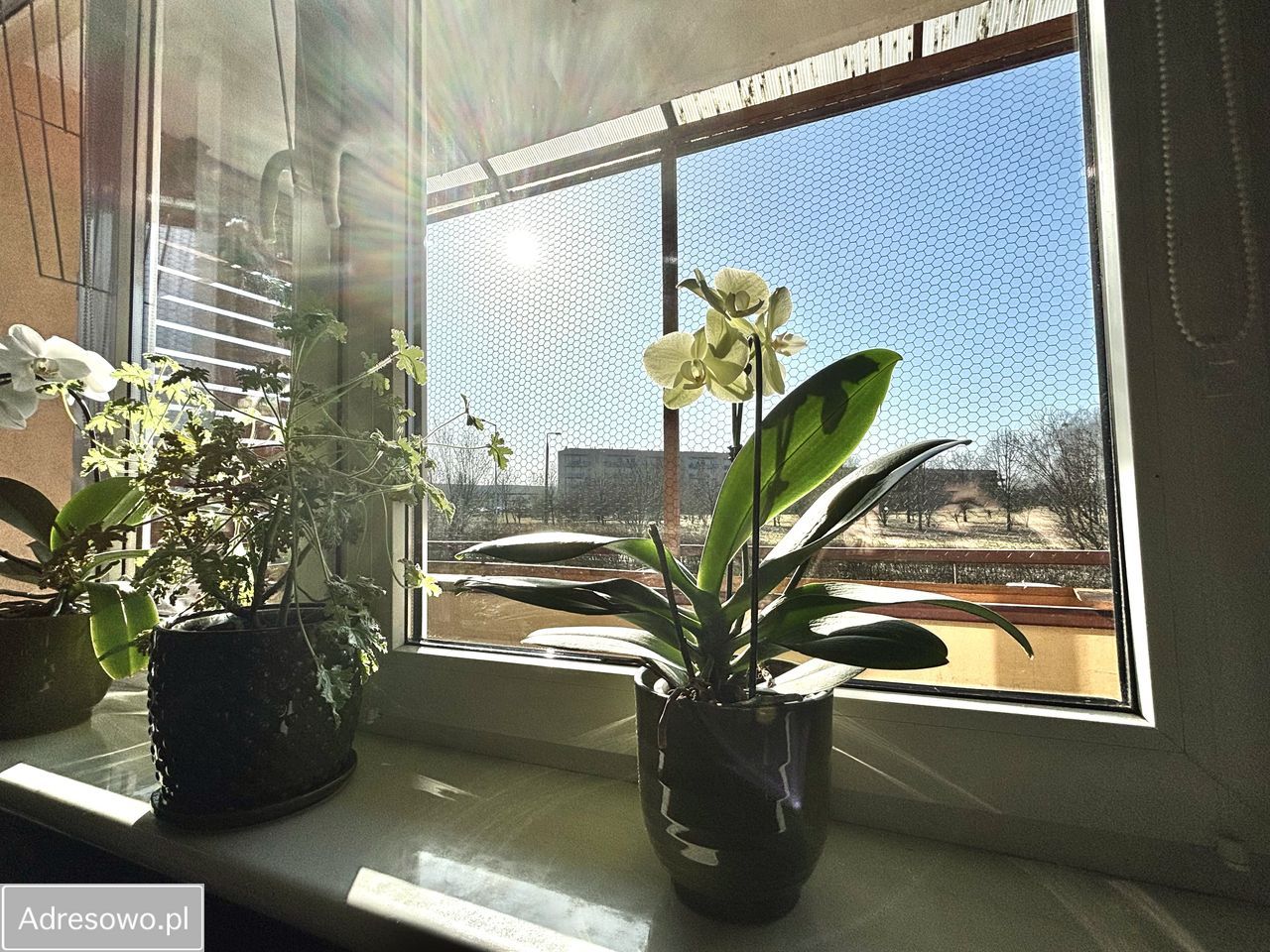 Mieszkanie 2-pokojowe Gorzów Wielkopolski Górczyn, ul. Michała Kleofasa Ogińskiego. Zdjęcie 6