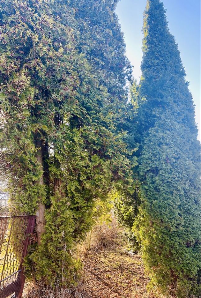 Działka rod Częstochowa Dźbów, ul. Leśna. Zdjęcie 5