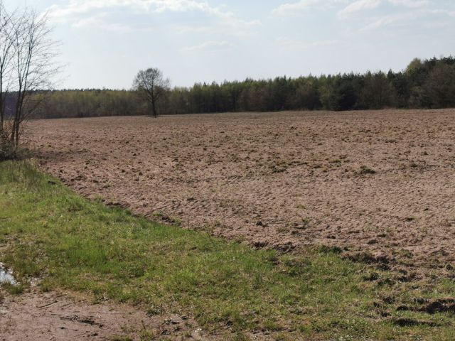 Działka rolna Łomy. Zdjęcie 1