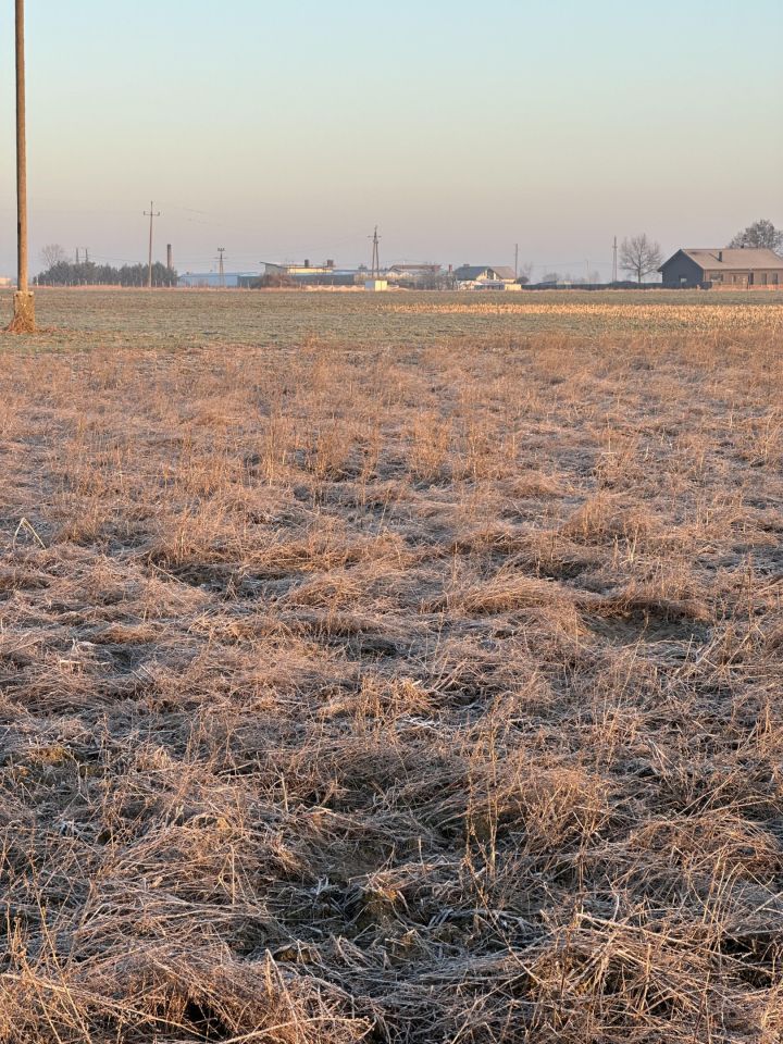 Działka budowlana Broniszewice. Zdjęcie 7