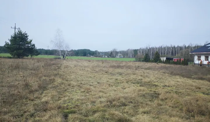 Działka rolno-budowlana Szkocja, ul. Słoneczna