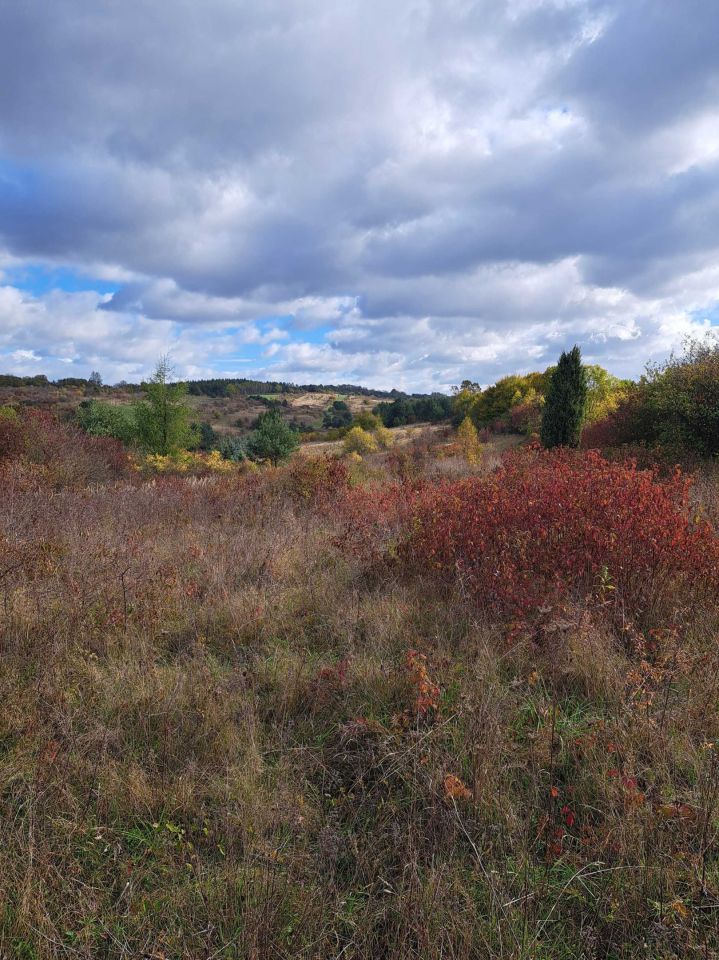 Działka rolno-budowlana Kolbark. Zdjęcie 2