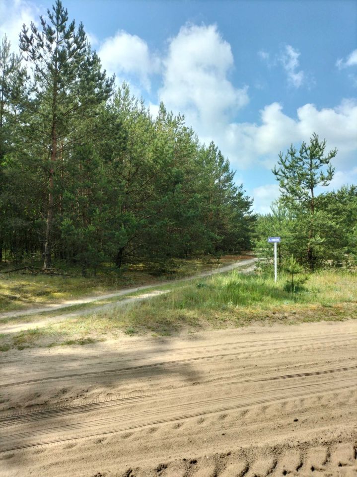 Działka rekreacyjna Chorzele. Zdjęcie 4