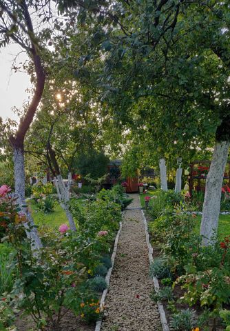 Działka rod Sosnowiec. Zdjęcie 1