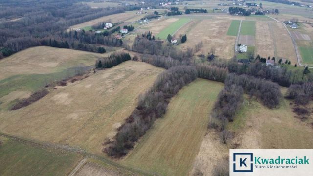 Działka rolna Stara Wieś Budy. Zdjęcie 7