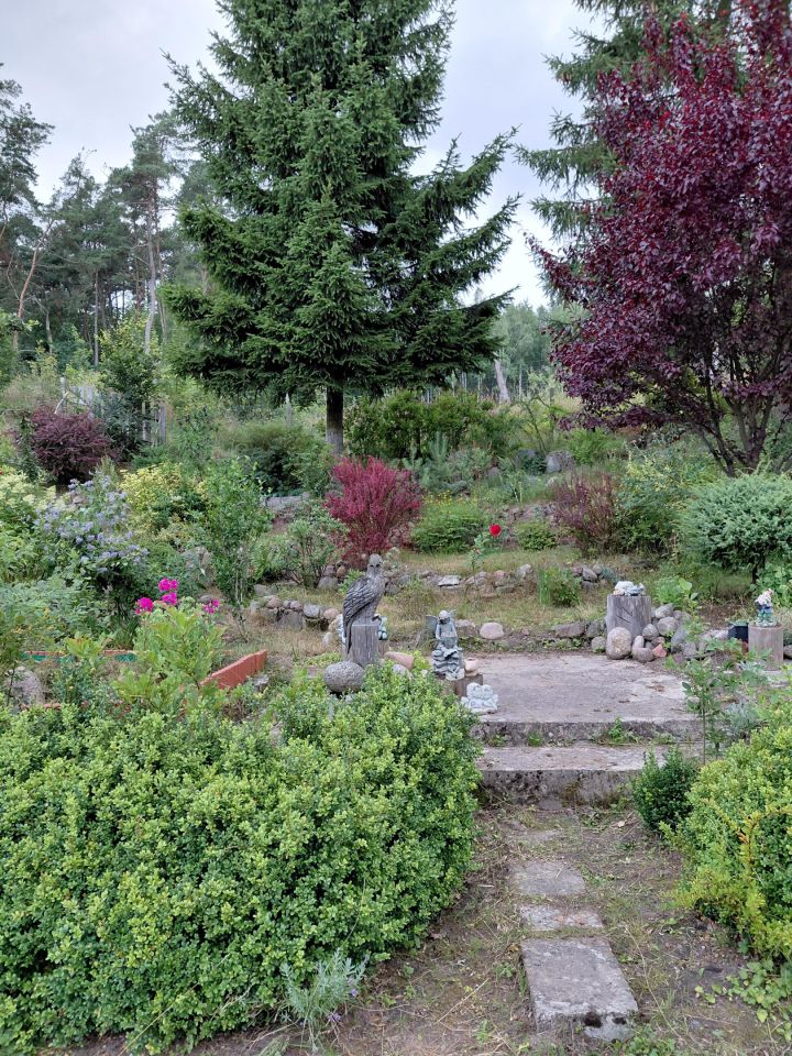 dom wolnostojący, 4 pokoje Sierpowo. Zdjęcie 16