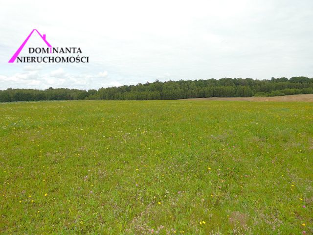 Działka rolna Gronowo. Zdjęcie 7