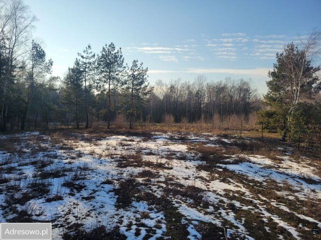 Działka budowlana Grabów nad Pilicą, ul. Polna. Zdjęcie 1