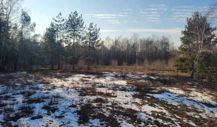 Działka budowlana Grabów nad Pilicą, ul. Polna