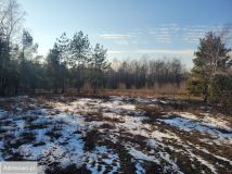 Działka budowlana Grabów nad Pilicą, ul. Polna