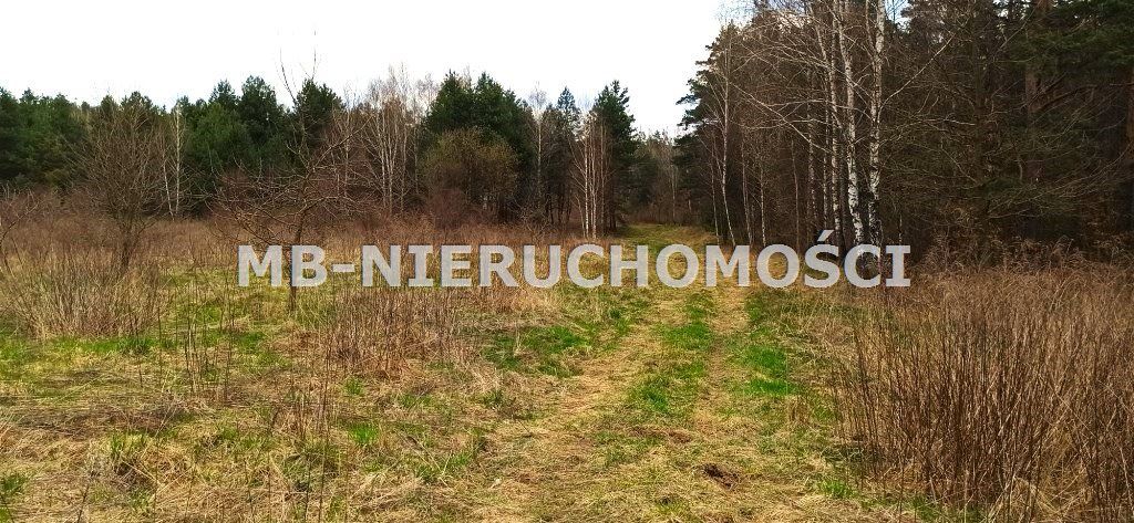 Działka rolno-budowlana Klebark Mały. Zdjęcie 3