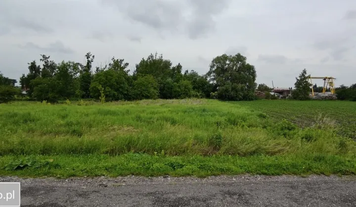 Działka inwestycyjna Racibórz, ul. Cecylii