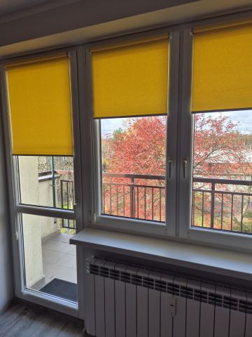 Mieszkanie 1-pokojowe Chorzów Centrum, ul. Cieszyńska. Zdjęcie 8