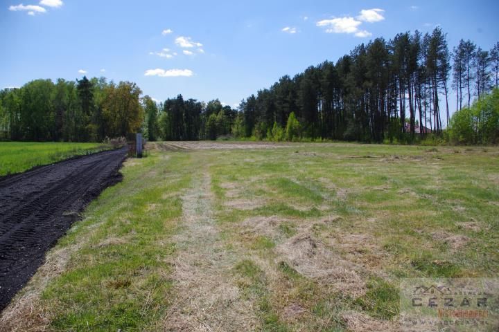 Działka budowlana Cyganka. Zdjęcie 5