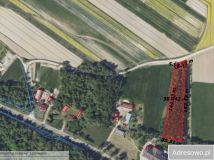 Działka leśna Kopiec. Zdjęcie 1