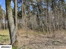 Działka budowlana Władysławów, ul. Przedwiośnia. Zdjęcie 1
