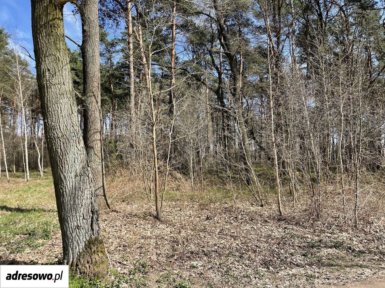 Działka budowlana Władysławów, ul. Przedwiośnia. Zdjęcie 2