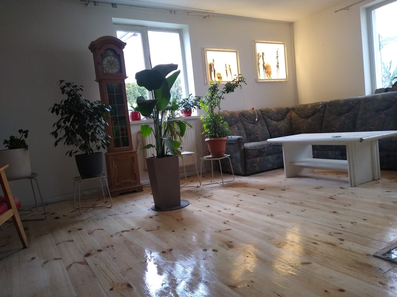 dom wolnostojący, 10 pokoi Wrocław Wojnów. Zdjęcie 5