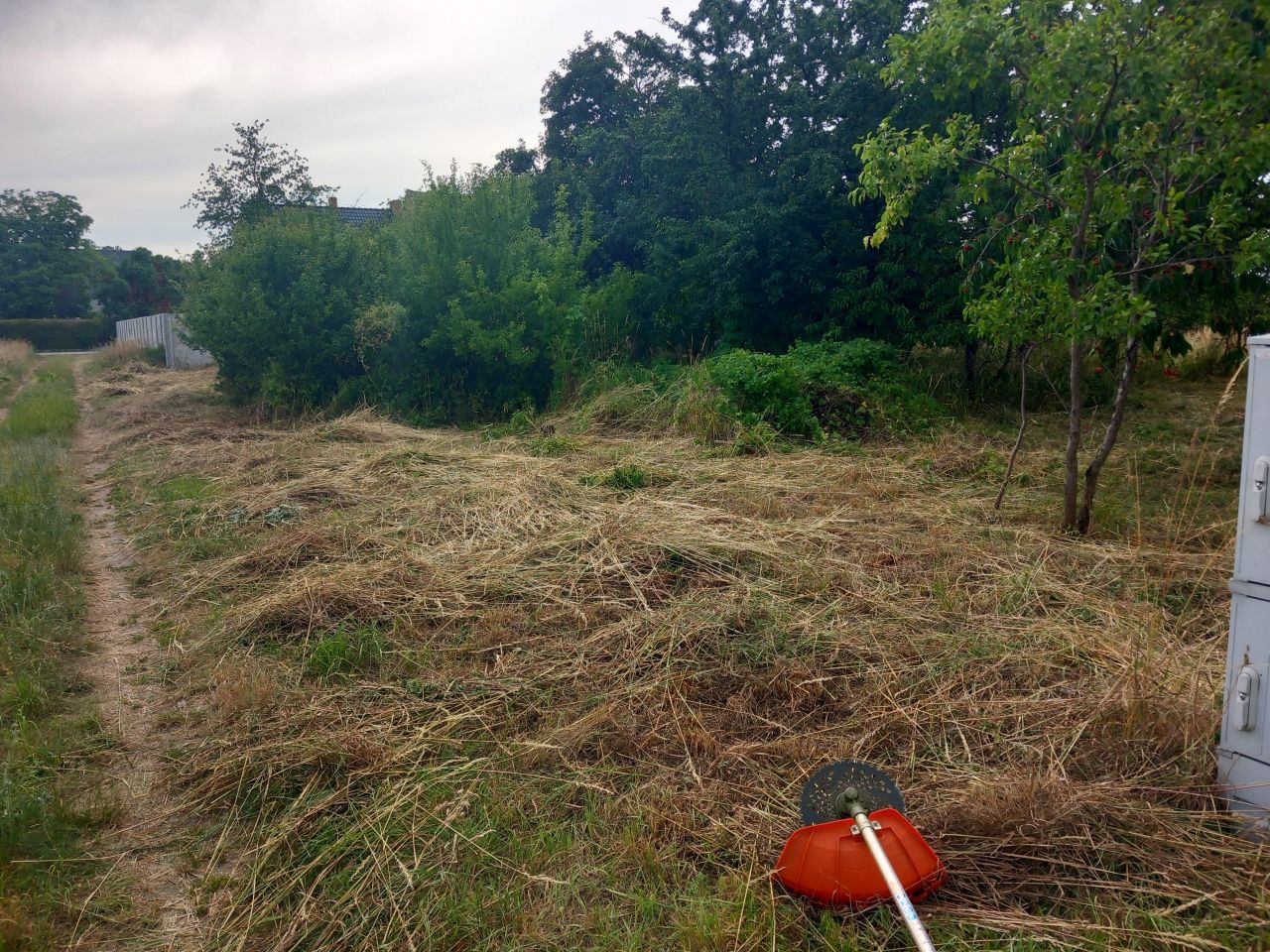 Działka budowlana Przytok, ul. Słoneczna. Zdjęcie 9