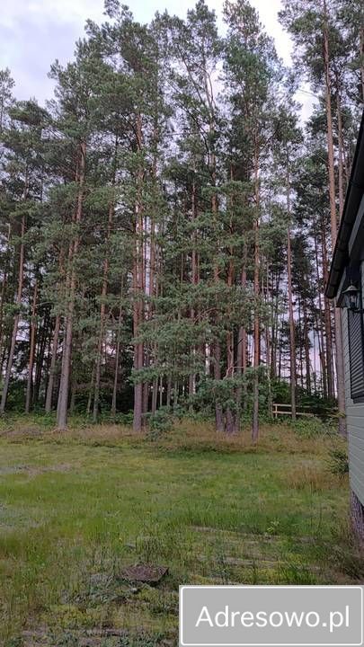 dom letniskowy Lisiny. Zdjęcie 3