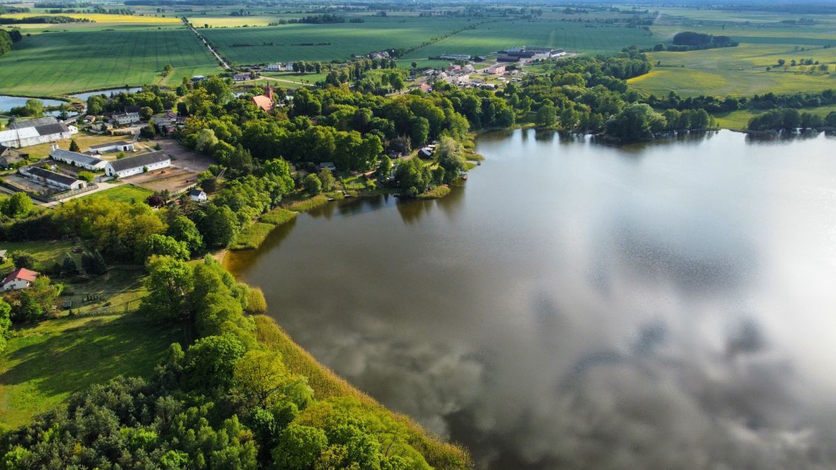 Działka inwestycyjna Psarskie. Zdjęcie 3