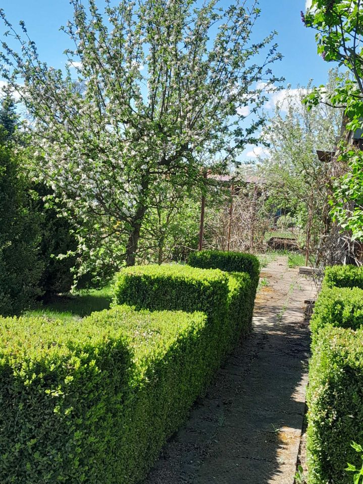 Działka rod Komadzyn. Zdjęcie 2