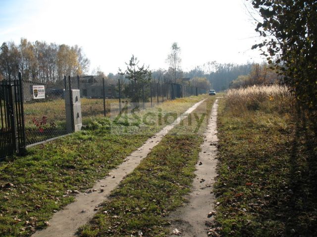 Działka budowlana Studzieniec. Zdjęcie 4