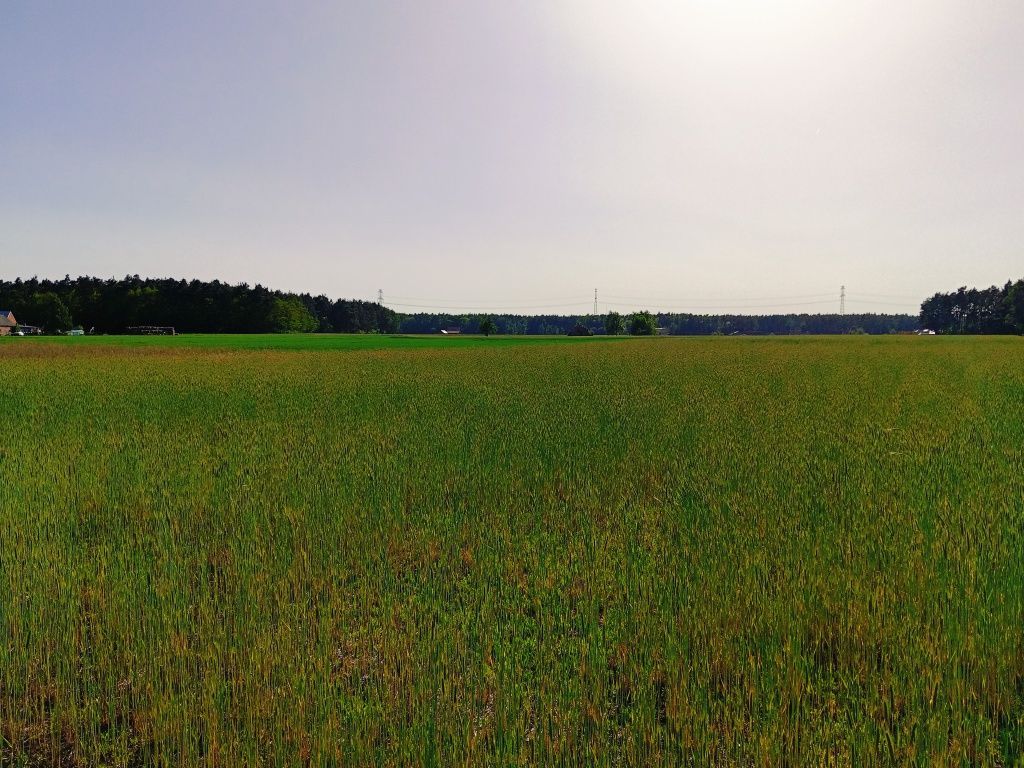 Działka budowlana Zamość. Zdjęcie 3