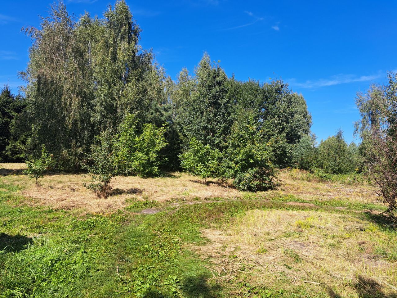 Działka budowlana Skierniewice Widok, ul. Działkowa