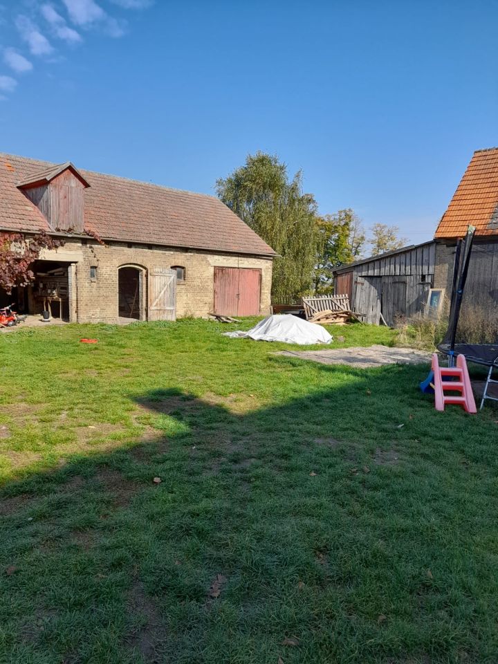 Działka rolna Ściechów. Zdjęcie 6