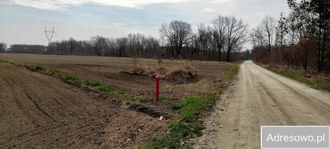 Działka budowlana Orły-Cesin. Zdjęcie 14