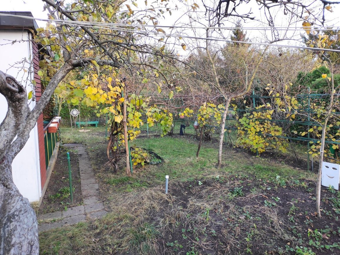 Działka rod Poznań Grunwald, ul. Złotowska