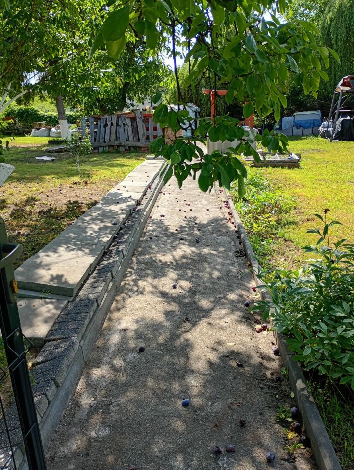 Działka rod Warszawa Mokotów, ul. Idzikowskiego. Zdjęcie 10