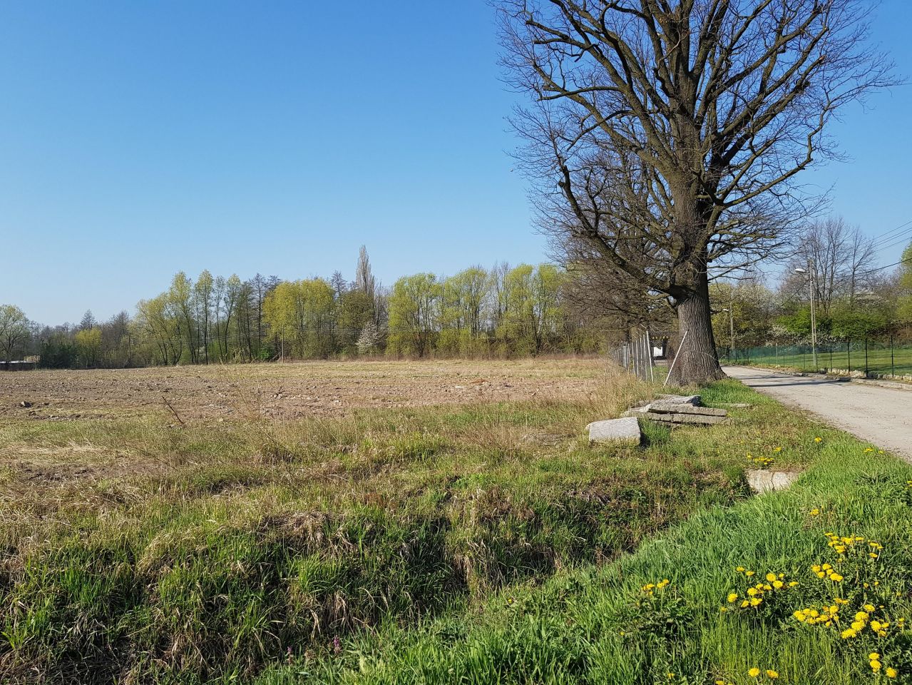 Działka budowlana Strzegom, ul. Morska. Zdjęcie 9