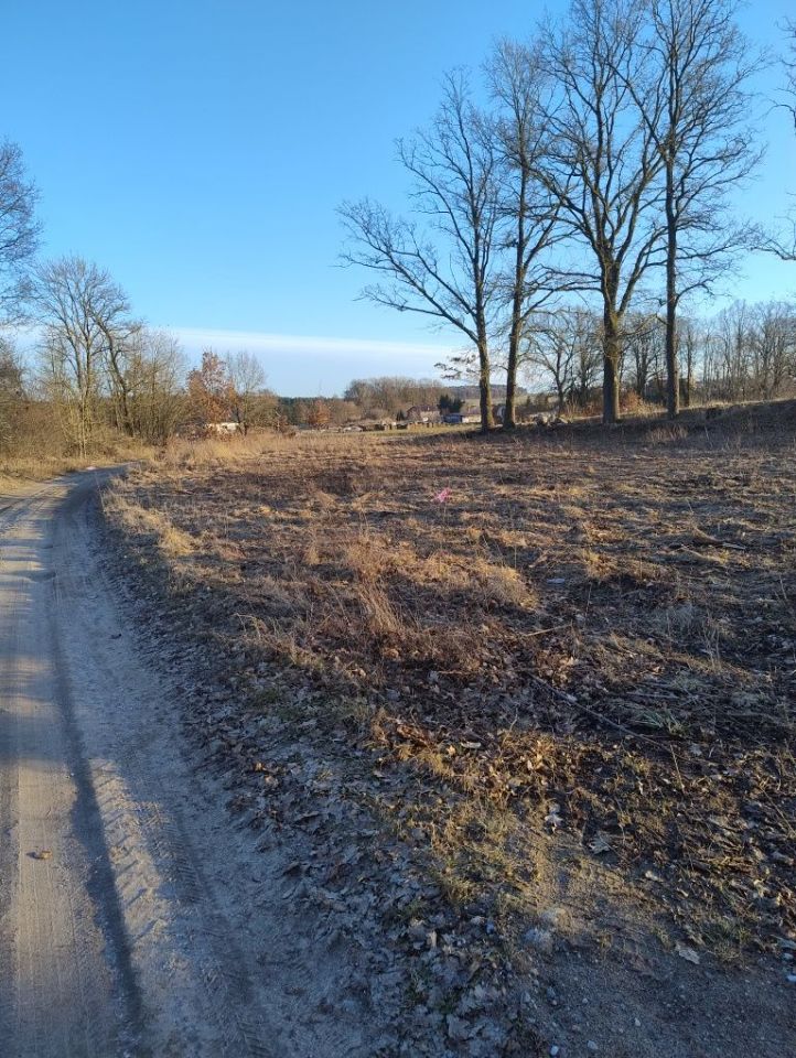 Działka budowlana Kluczkowo. Zdjęcie 4