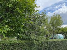 Działka rod Szczecinek. Zdjęcie 2