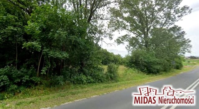 Działka rolna Lubień Kujawski. Zdjęcie 9
