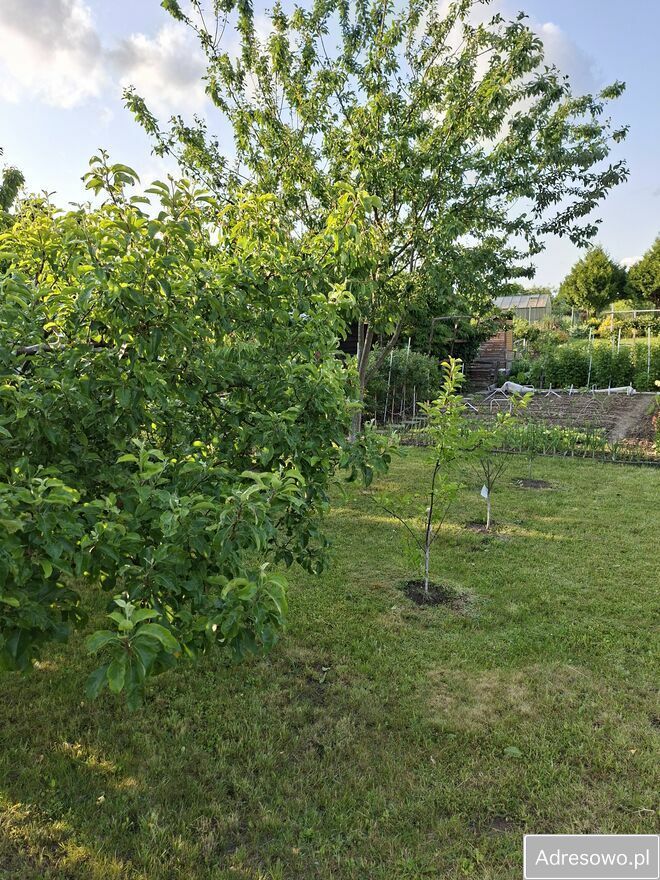 Działka rod Stary Olsztyn. Zdjęcie 2