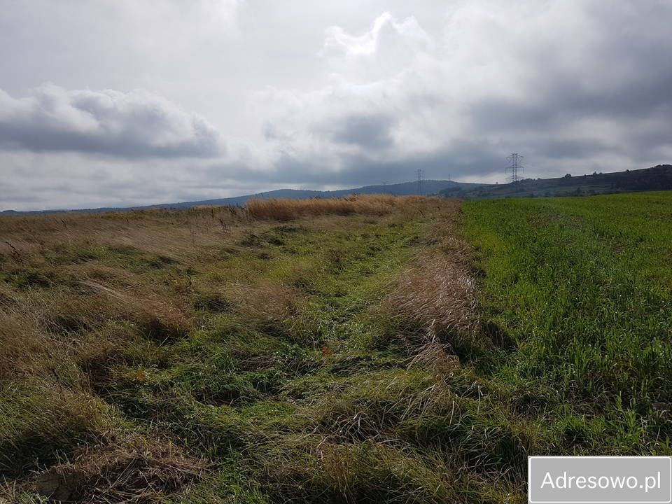 Działka rolna Lubatowa. Zdjęcie 3