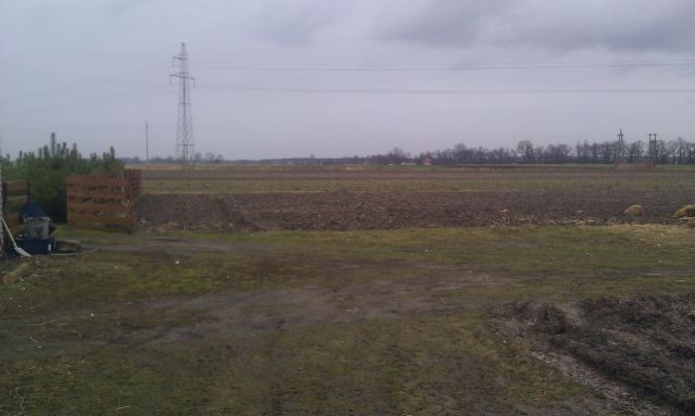 Działka rolno-budowlana Nieborów Brzóstowa, ul. Polna. Zdjęcie 1