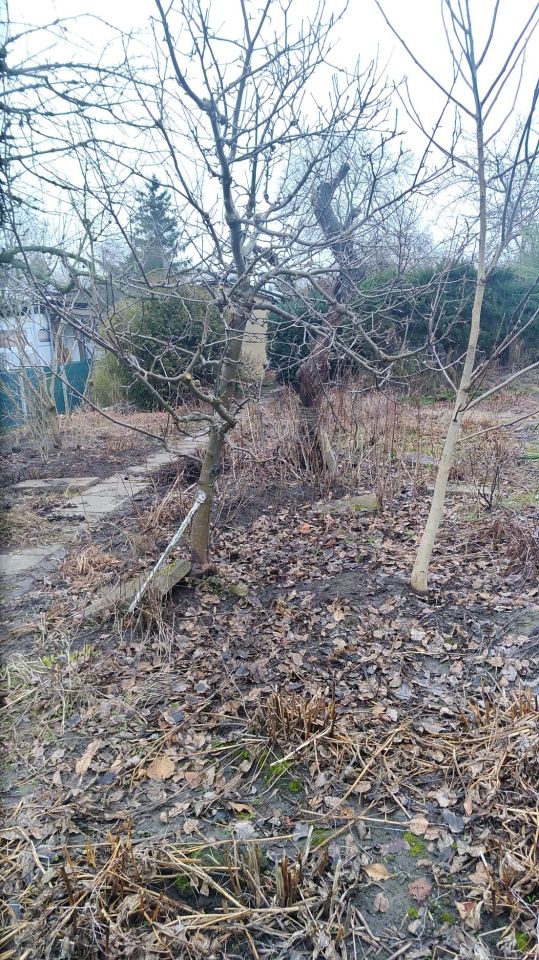 Działka rod Szczecin Warszewo. Zdjęcie 2