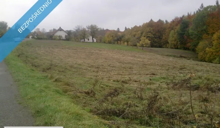 Działka budowlana Dąbrówka Szczepanowska