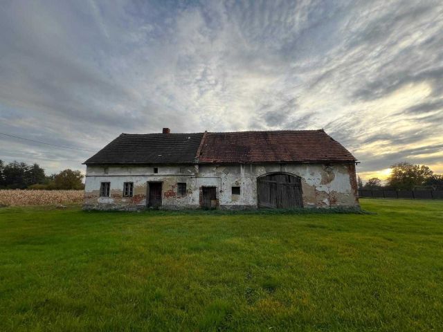 Działka Mirosławice. Zdjęcie 1